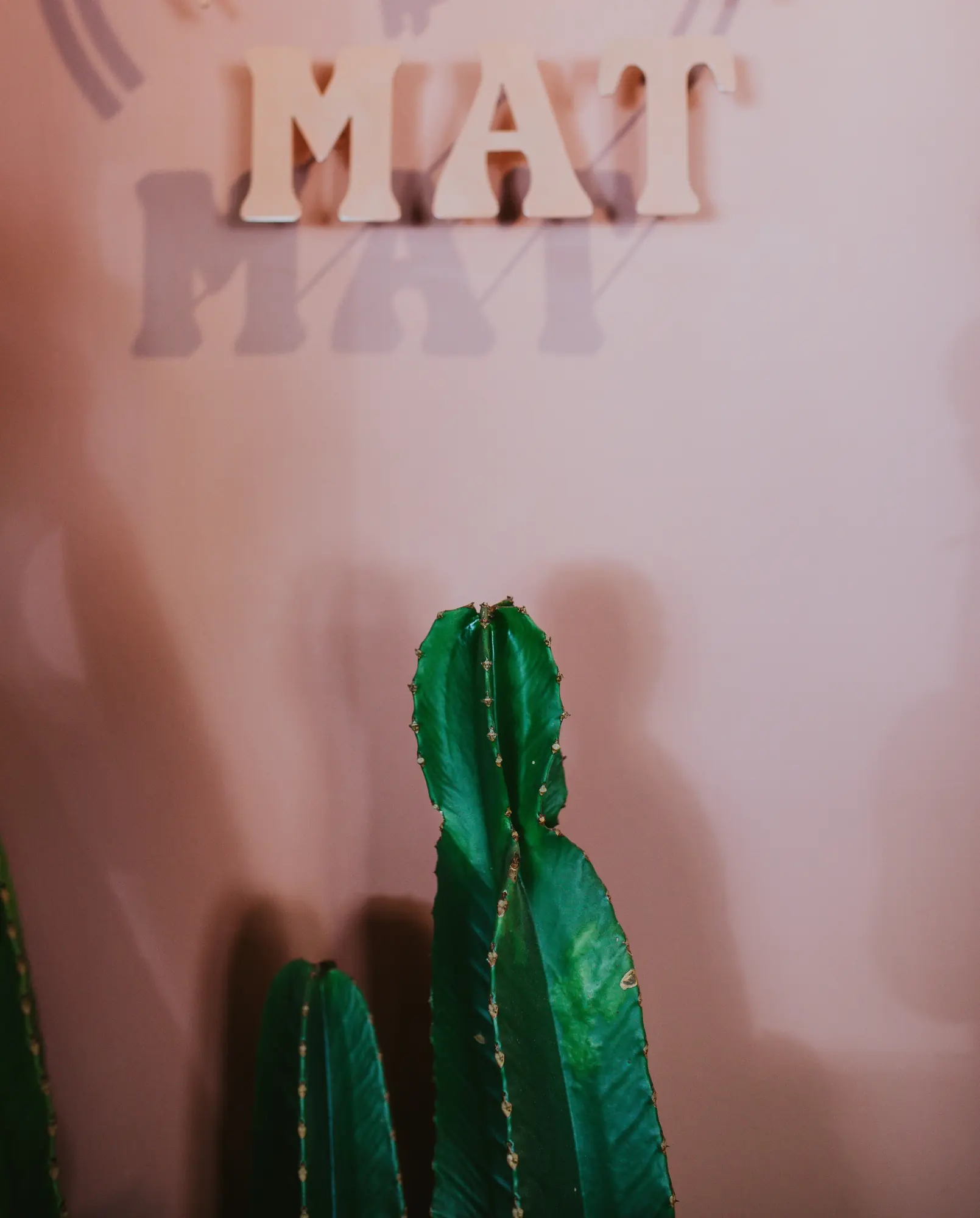 Literele MAT în relief pe peretele roz, cu un cactus în față