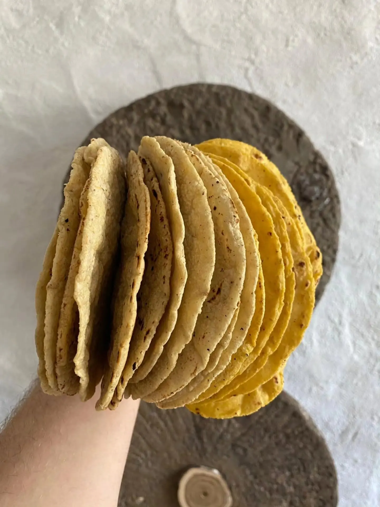 Un teanc de tortilla galbene și albastre, ținut în palmă deasupra unui perete de var